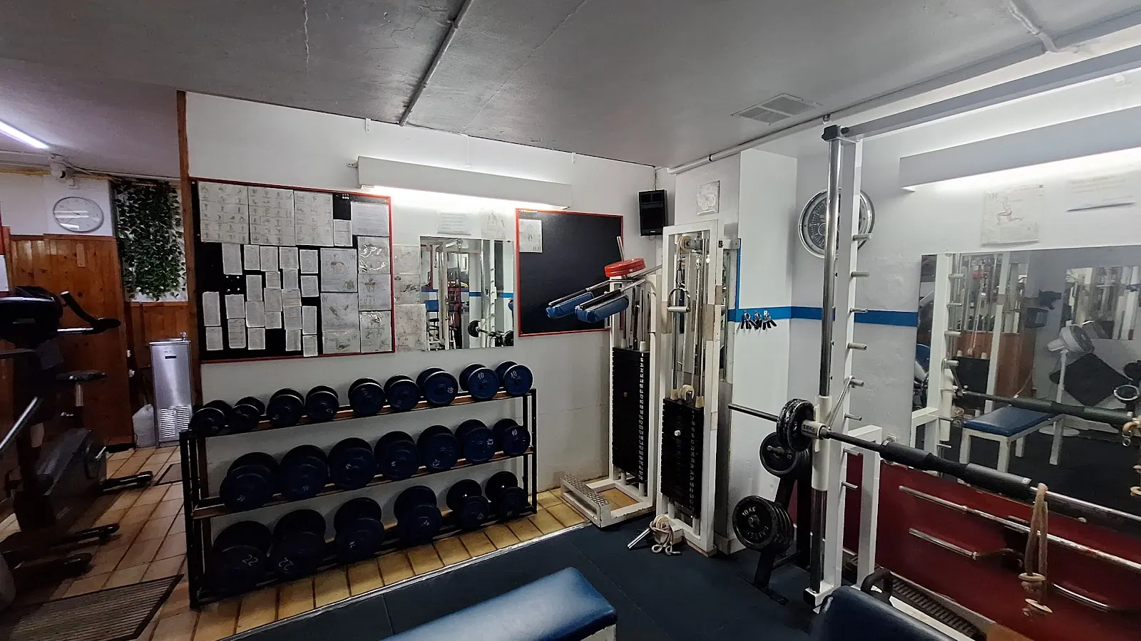 M.C. Gimnasio — estudio de fitness-studio en Sant Cugat del Vallès — 4