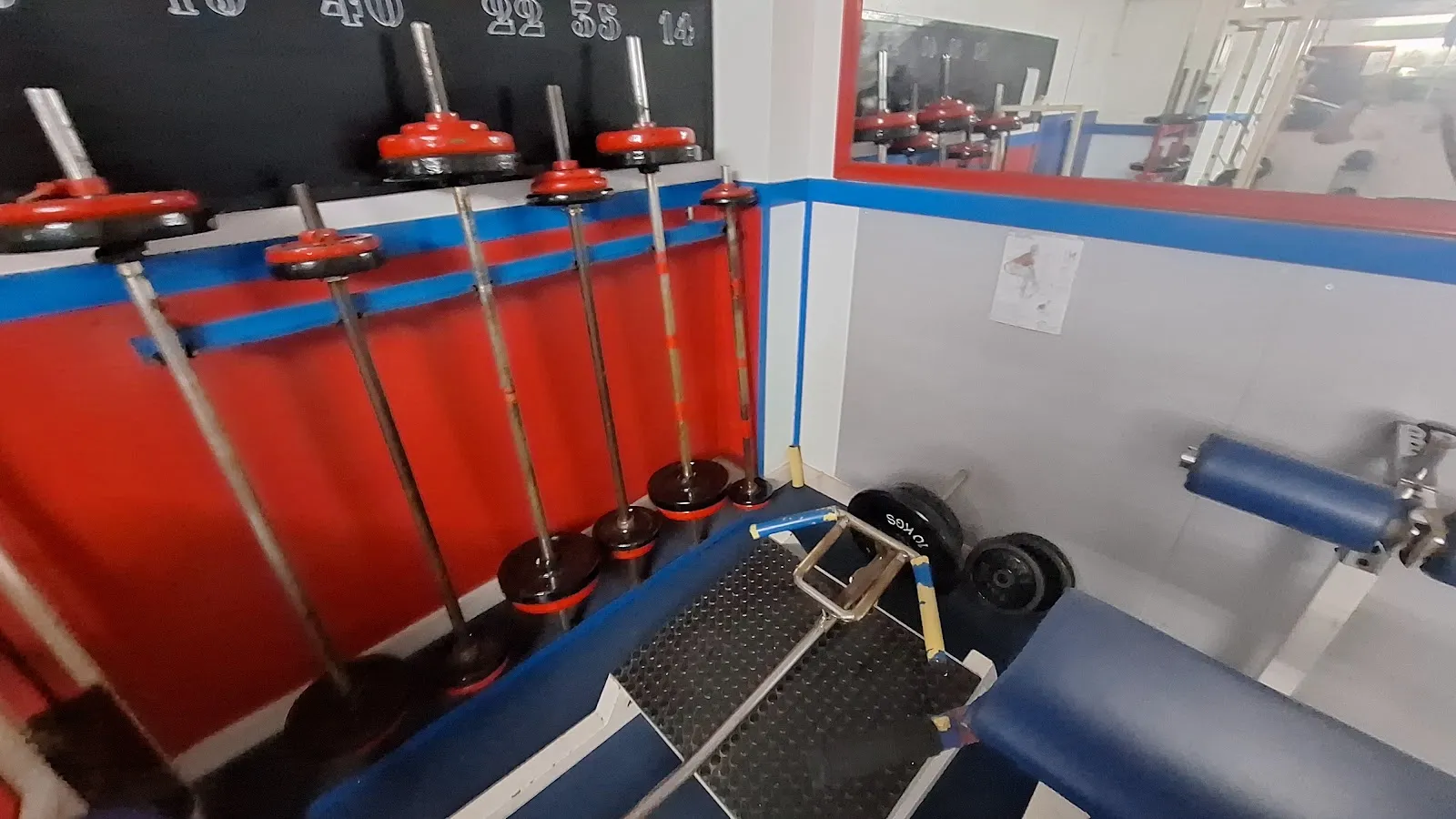 M.C. Gimnasio — estudio de fitness-studio en Sant Cugat del Vallès — 5