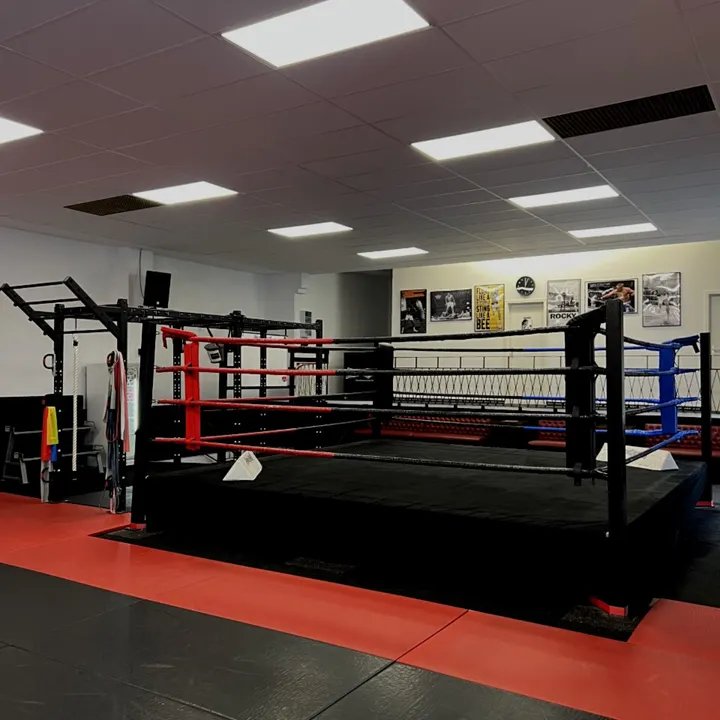 Prize Ring — kickboxen-studio in Koblenz — 5