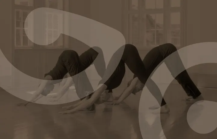 Gotvedinstituttet — Fitness Studio i Frederiksberg