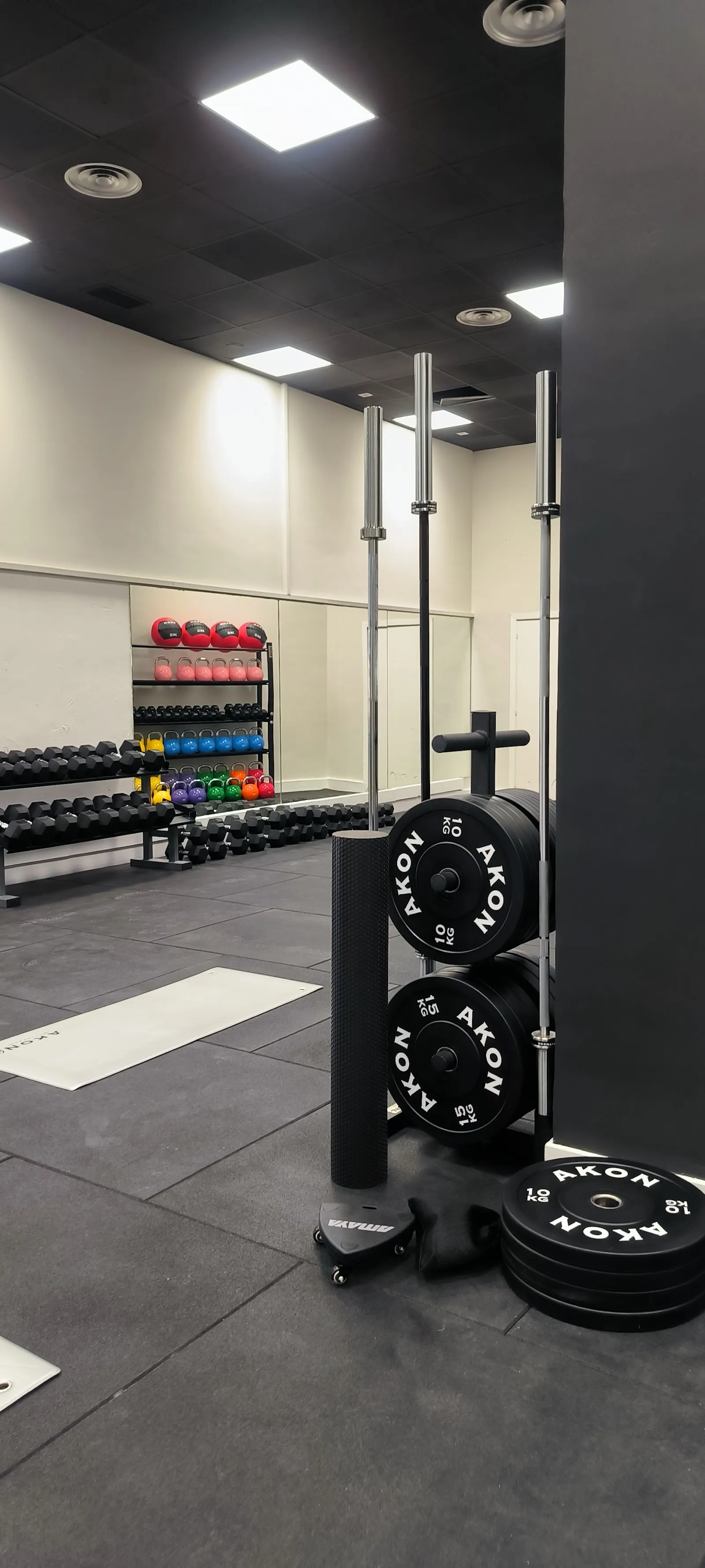 Berfer Gym Madrid S.L. — estudio de fitness-studio en Majadahonda — 3