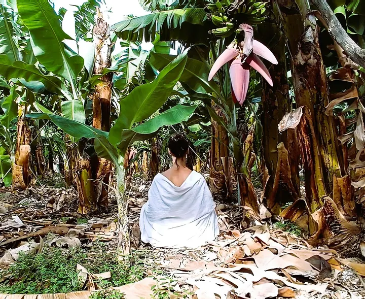 La Puntura del Alma — meditación-studio en Radazul, Santa Cruz de Tenerife — 2
