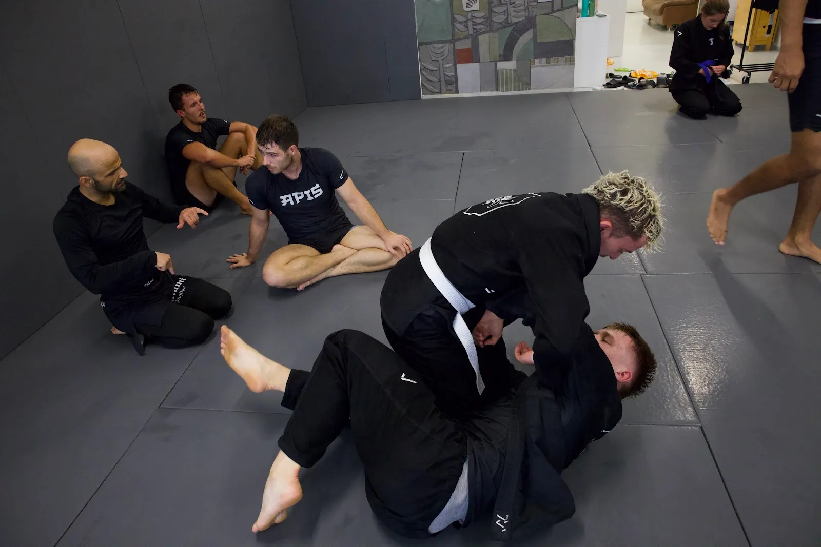 Apis Martial Arts — bjj-studio in München — 3