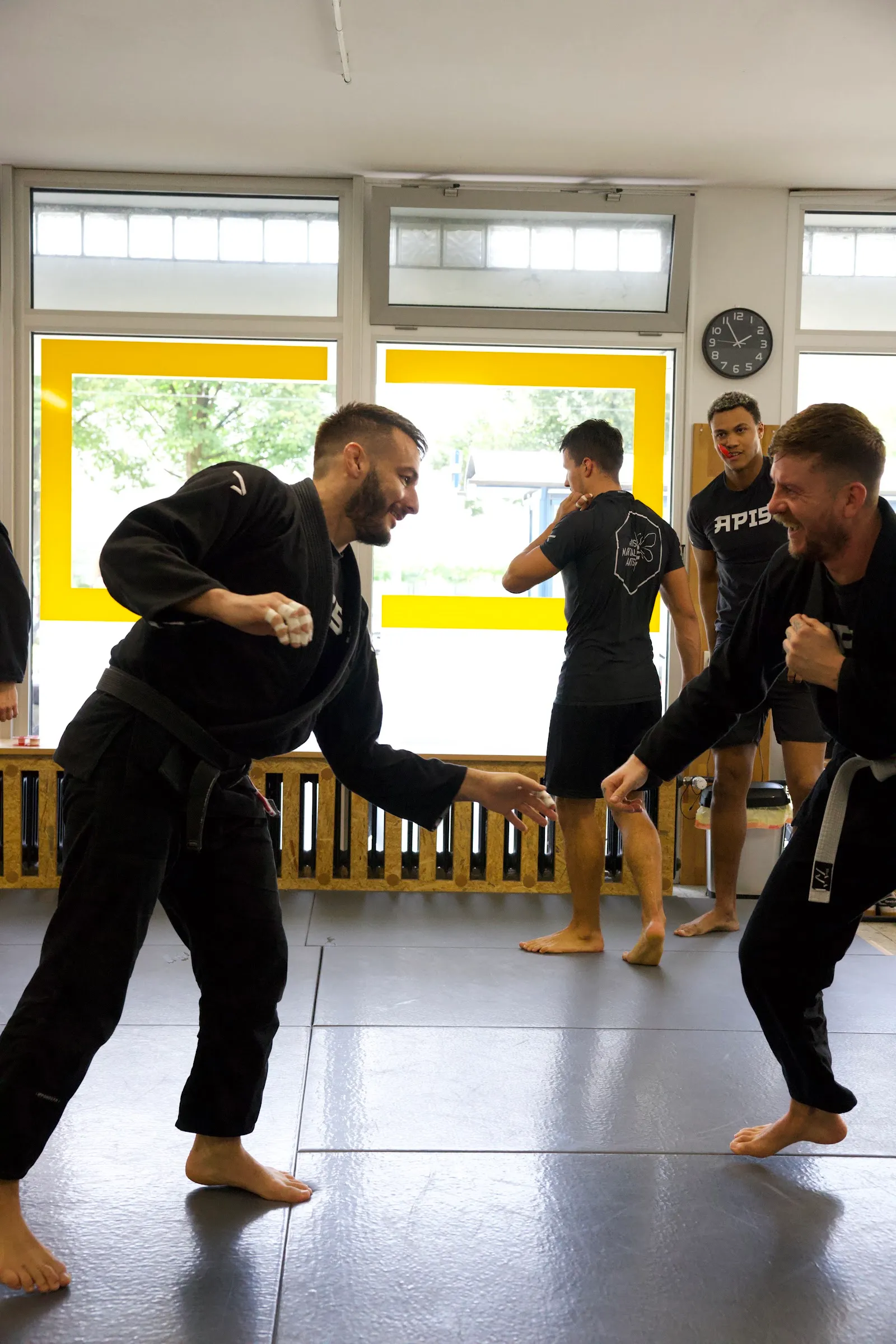 Apis Martial Arts — bjj-studio in München — 4