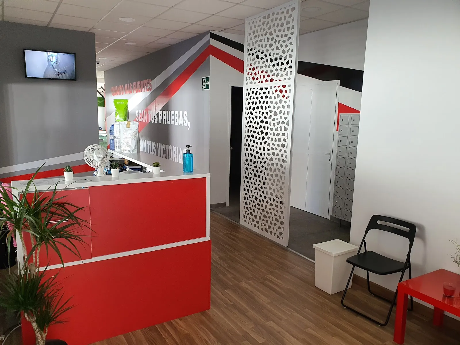 Evolution Fitness Center — estudio de fitness-studio en Estepa — 3