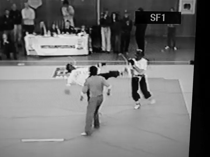 Bo Chi Lam Kung-Fu Schule für traditionelles Hung Gar Kuen — kampfsport-studio in Weingärtensiedlung, Karlsruhe — 2