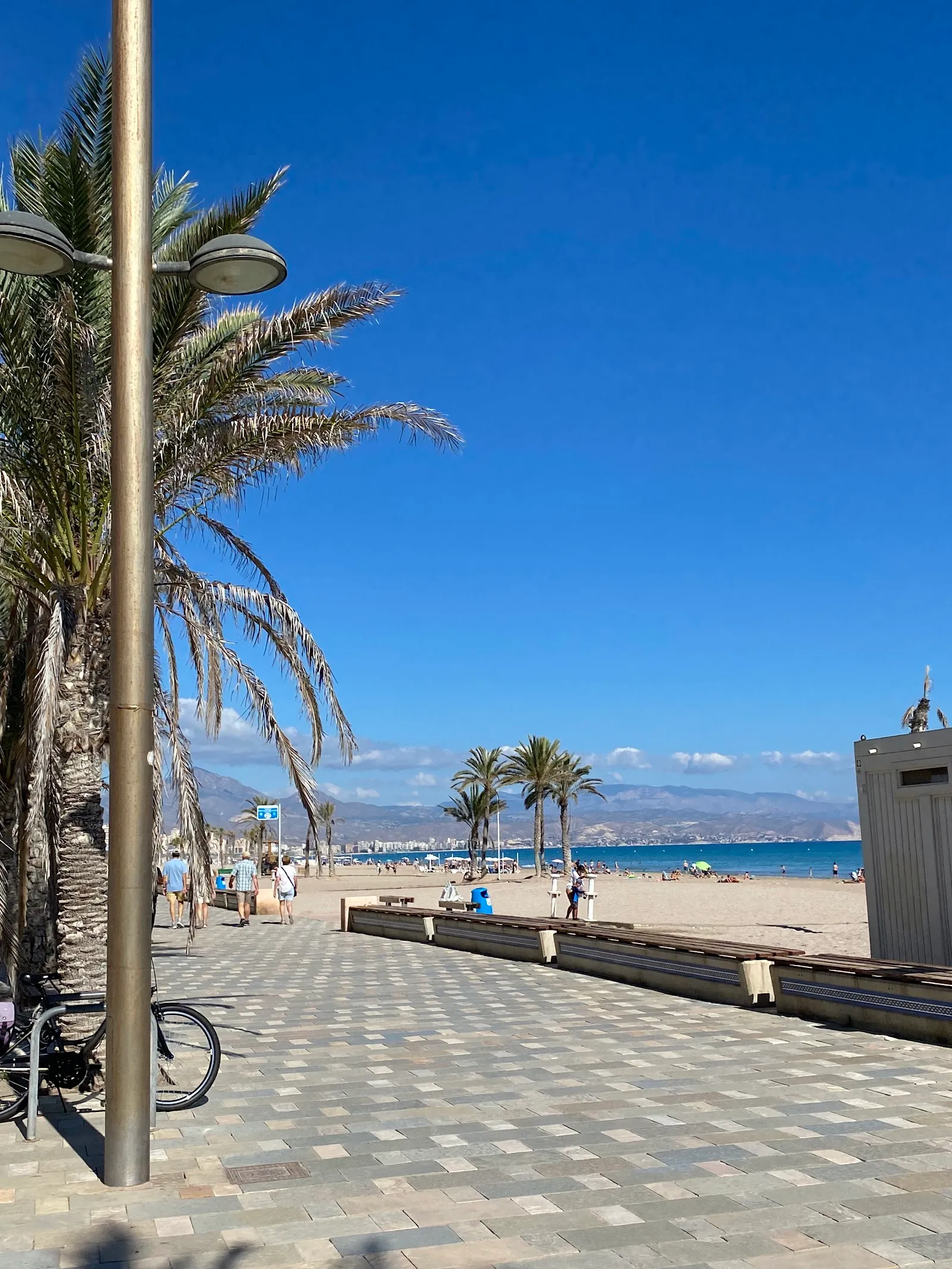 Parque Calistenia Playa de San Juan — calisthenics-studio en Alicante — 3