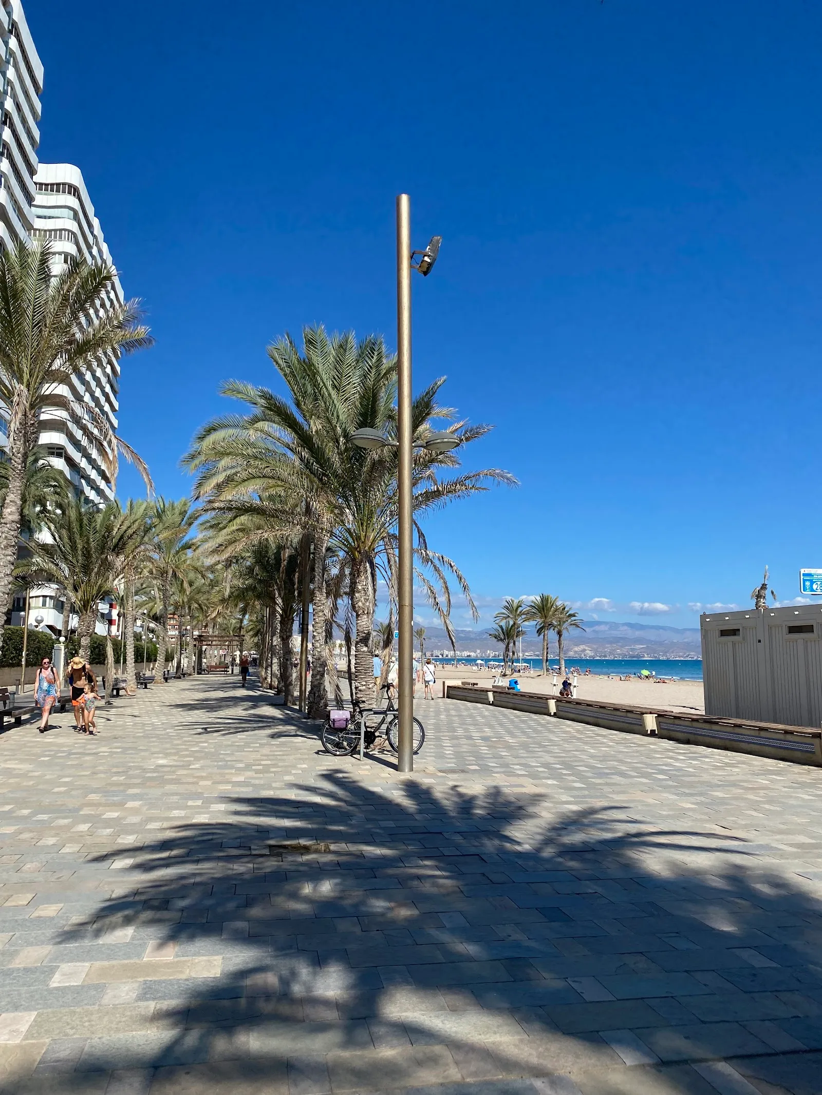 Parque Calistenia Playa de San Juan — calisthenics-studio en Alicante — 4