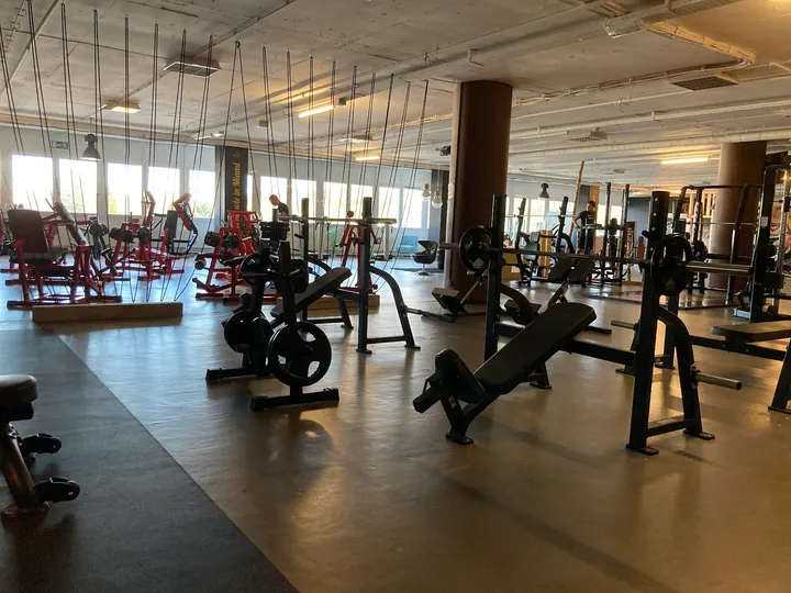 FitnessKing Mülheim-Kärlich — fitnessstudio in Mülheim-Kärlich-Mülheim, Koblenz — 2