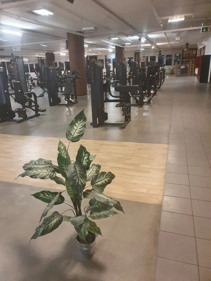 FitnessKing Mülheim-Kärlich — Fitnessstudio in Mülheim-Kärlich-Mülheim, Koblenz