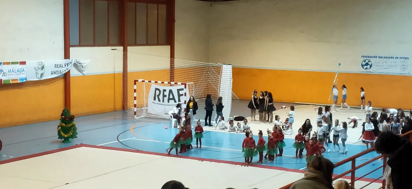 Club Deportivo Miralmar, tu club de gimnasia rítmica en Málaga — gimnasia-studio en Málaga — 3