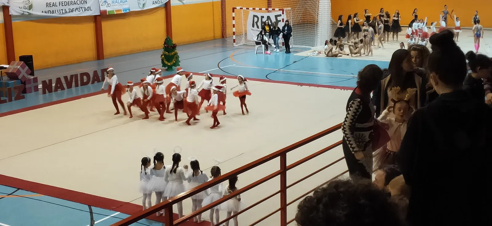 Club Deportivo Miralmar, tu club de gimnasia rítmica en Málaga — gimnasia-studio en Málaga — 3