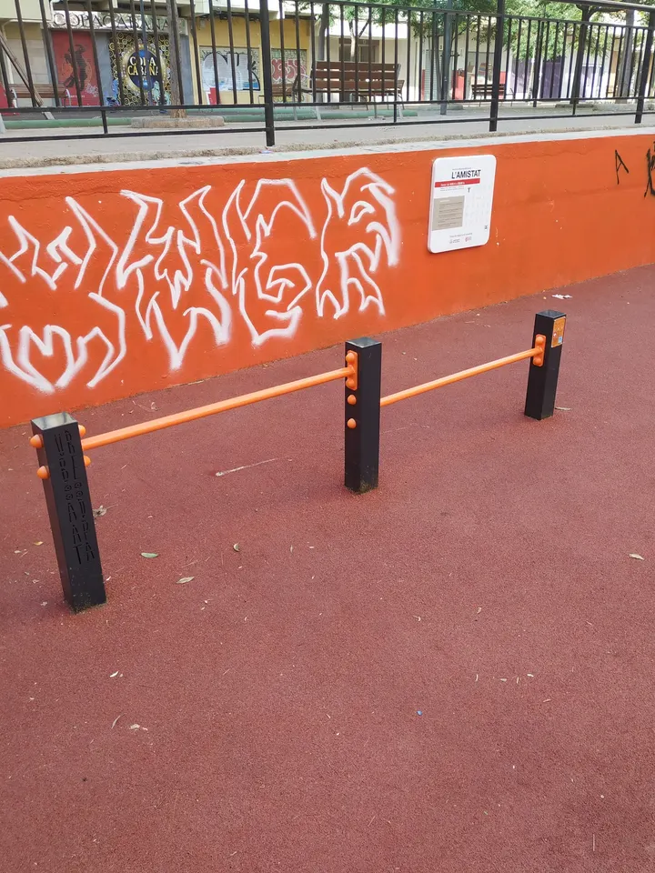 Parque de barras de calistenia - AXOS — calisthenics-studio en Valencia — 4