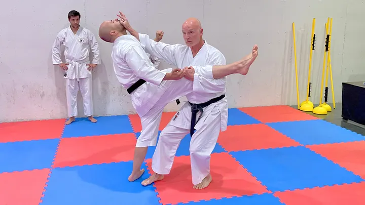 Shotokan Karate Halle e.V. — kampfsport-studio in Nördliche Innenstadt, Halle (Saale) — 2