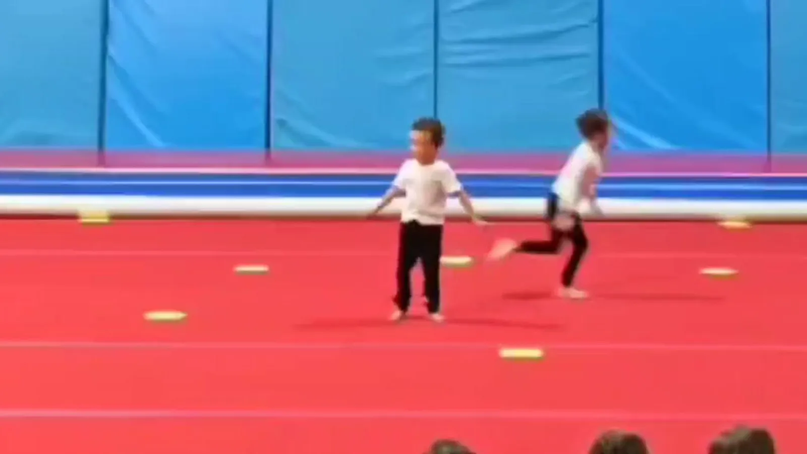 Hampstead Gymnastics Club — gymnastics-studio in St. Albans — 4
