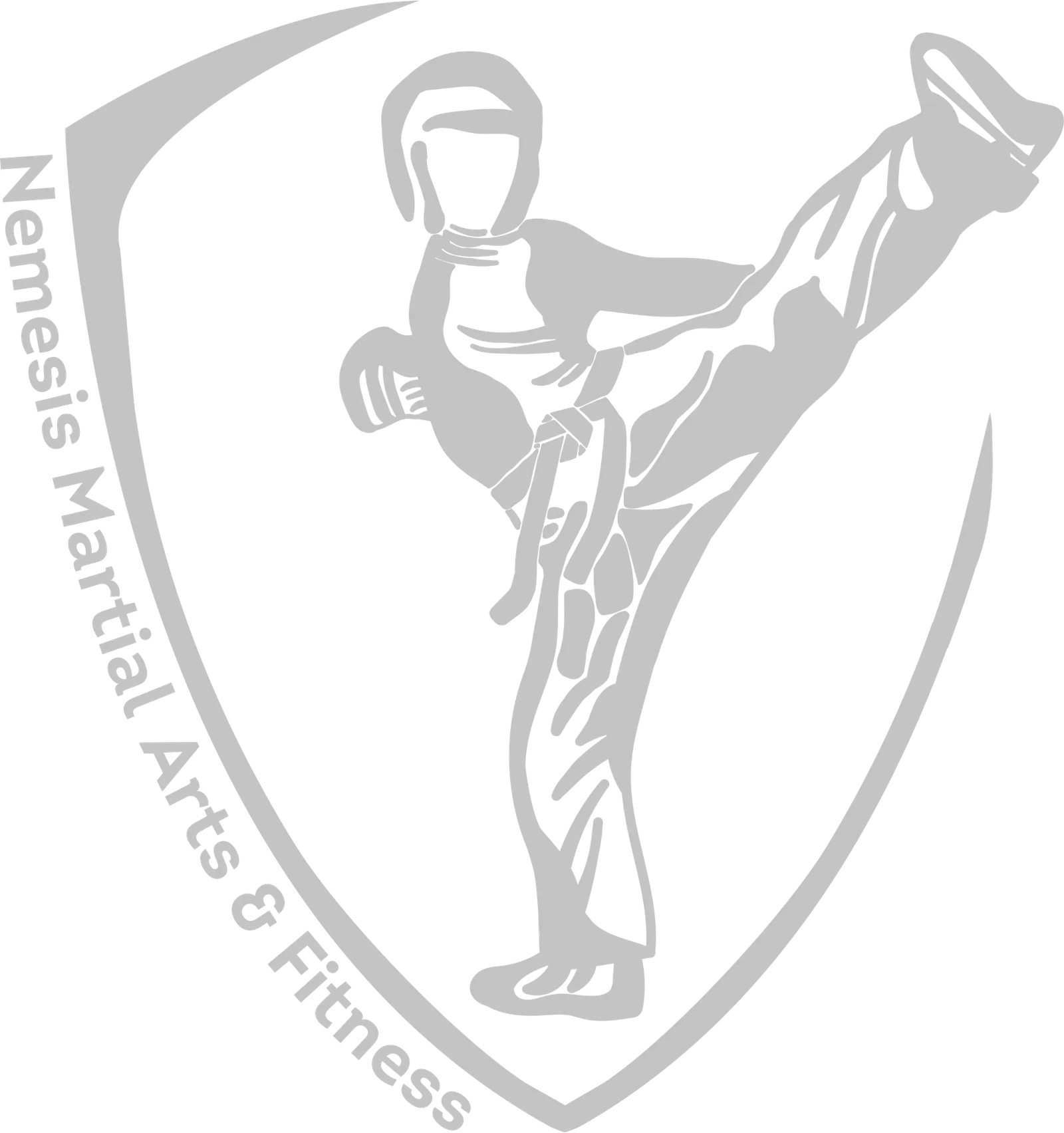 Nemesis Martial Arts and Fitness — martial arts-studio in Reading — 2