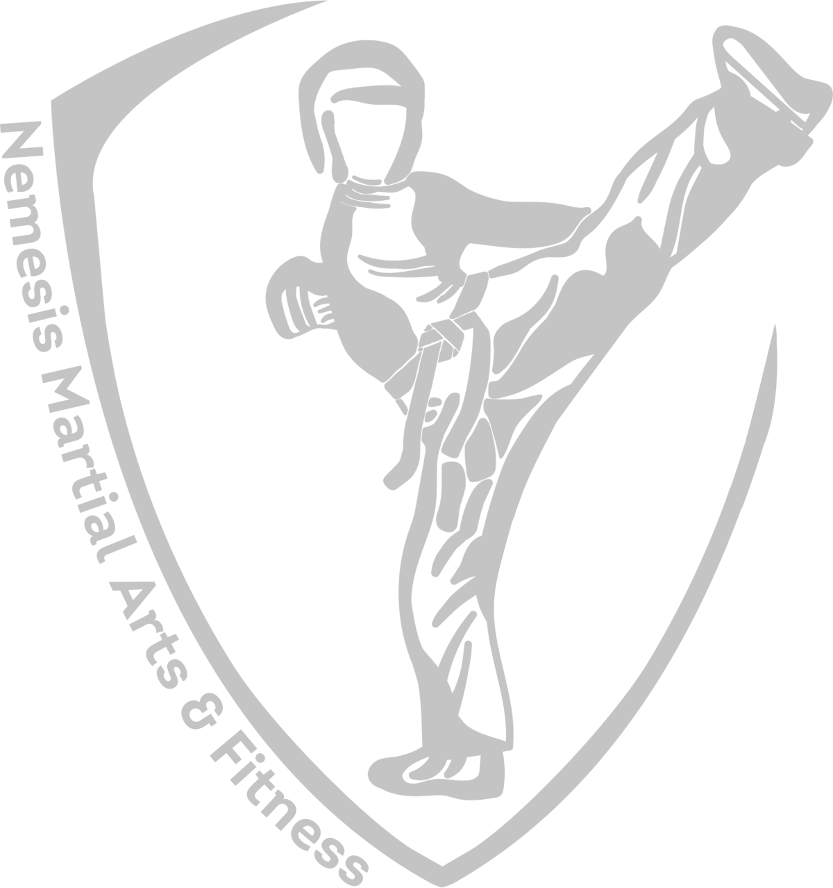 Nemesis Martial Arts and Fitness — martial arts-studio in Reading — 3