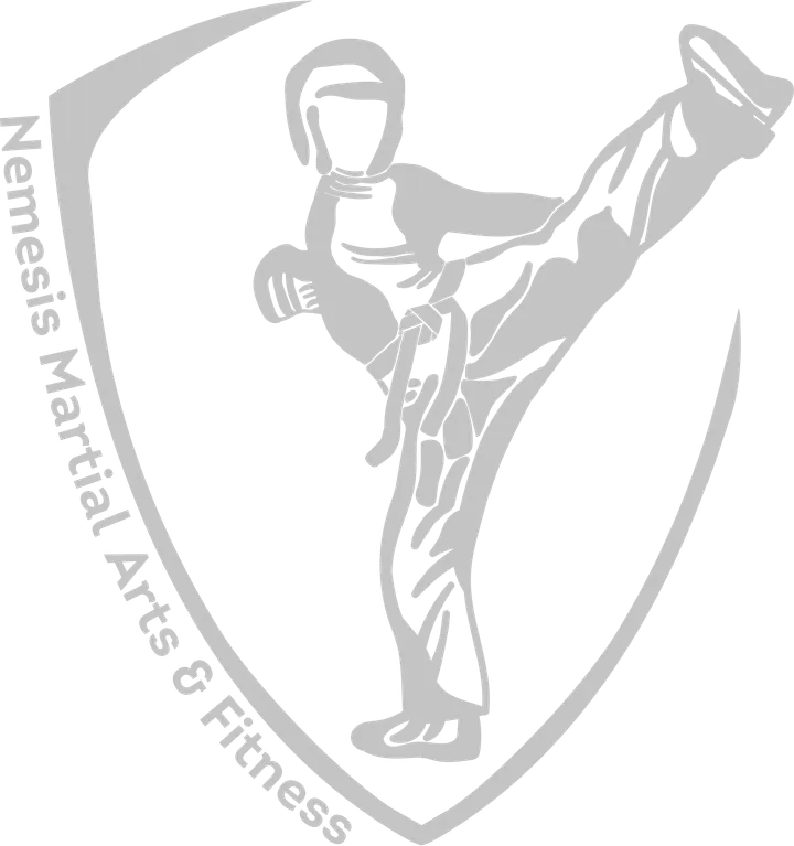 Nemesis Martial Arts and Fitness — martial arts-studio in Reading West, Reading — 3