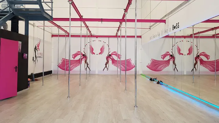 Fly Pole Marbella — pole fitness-studio en Marbella — 3