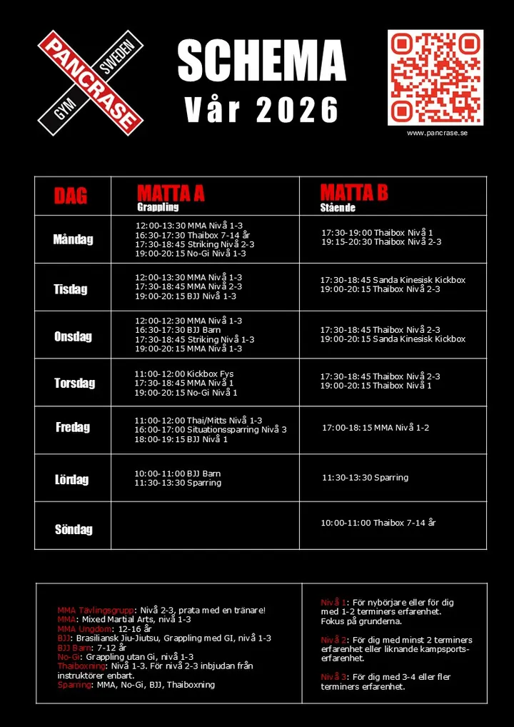 Pancrase Gym — mma-studio i Kungsholmen, Stockholm — 2
