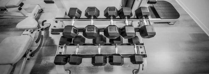 Nekoness — Salle de fitness à Île Beaulieu, Nantes