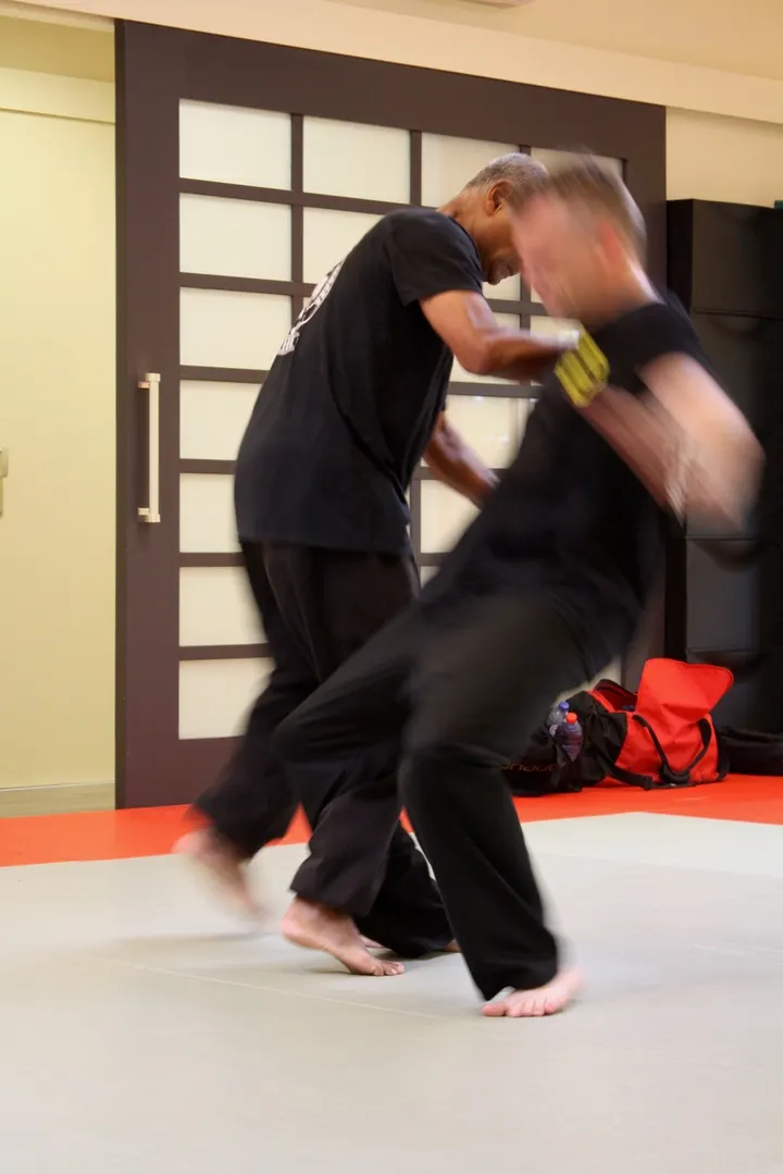 Tiga Satria Fighting Academy — vechtsport-studio in IJsselmonde, Rotterdam — 3