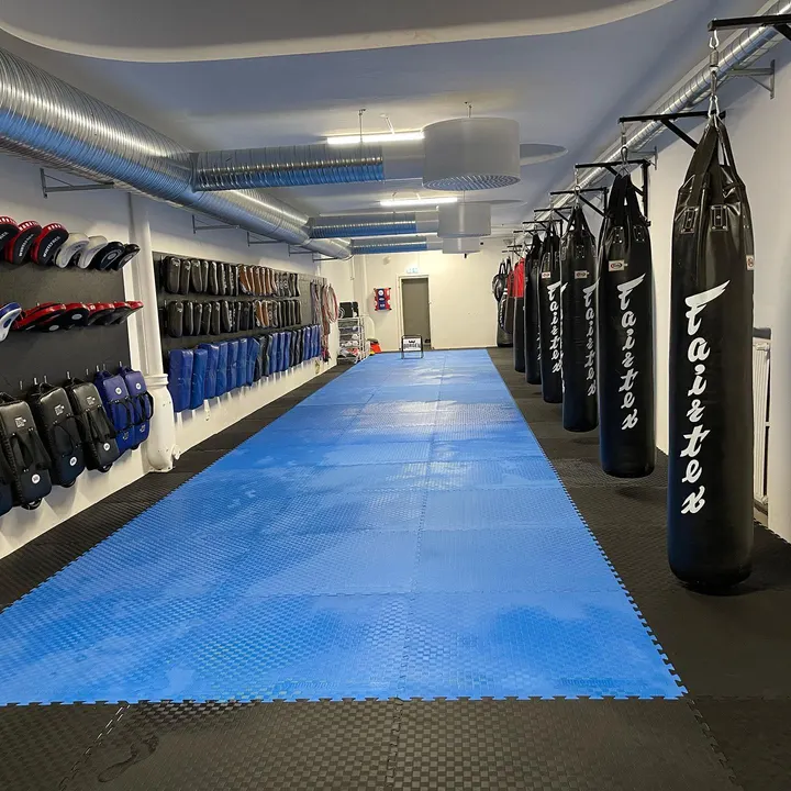 Borgen Fight Center — Kickboxing in Fågelbacken, Malmö