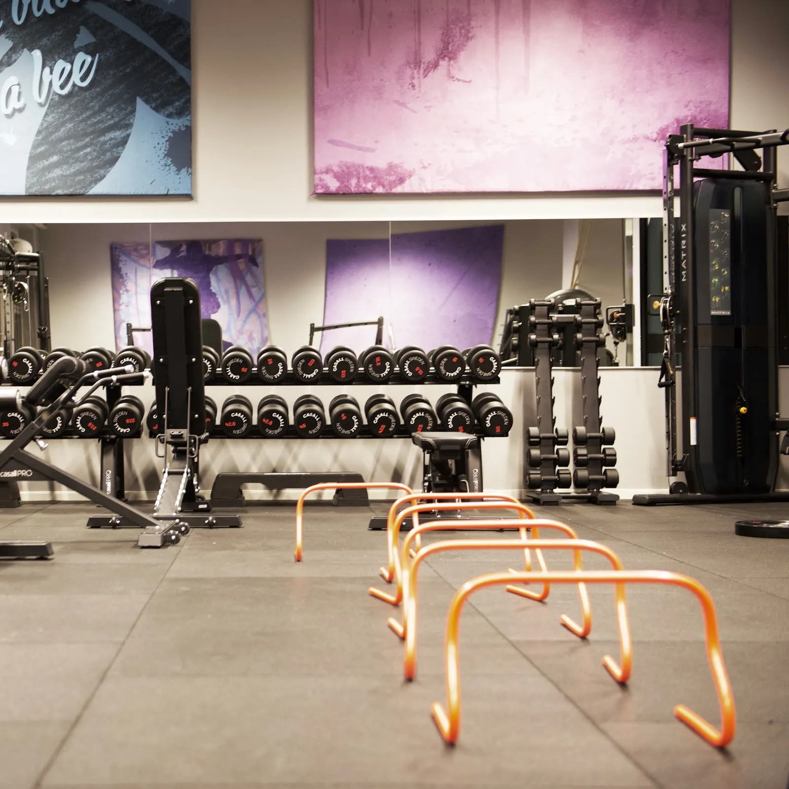 GRITNEST — funktionell träning-studio i Bromma — bild 5