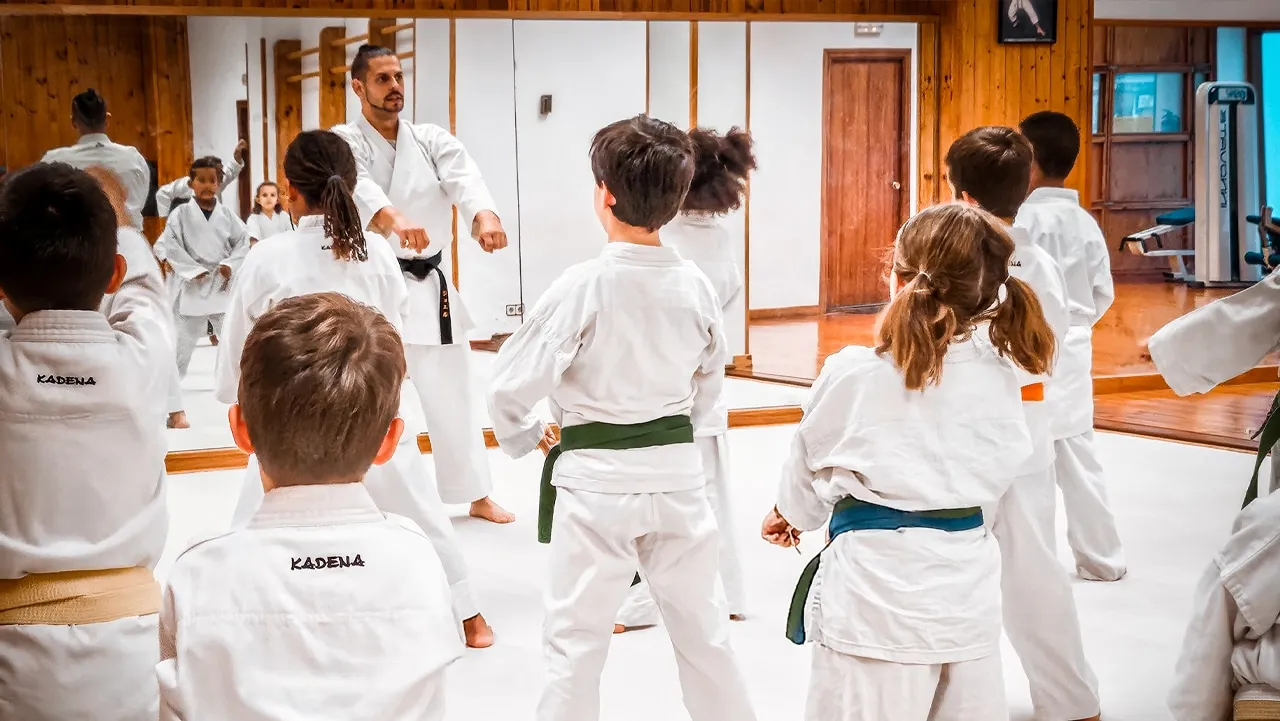 Gimnasio Bonafau — artes marciales-studio en Pamplona — 5