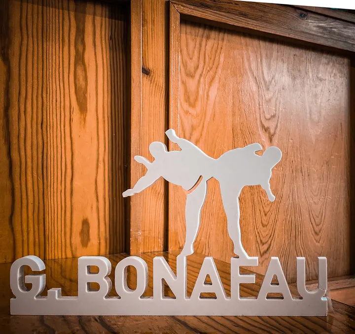 Gimnasio Bonafau — Martial Arts en Segundo Ensanche, Pamplona