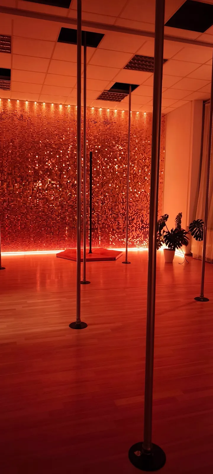 Polefly Academy — pole fitness-studio in Augsburg — 3