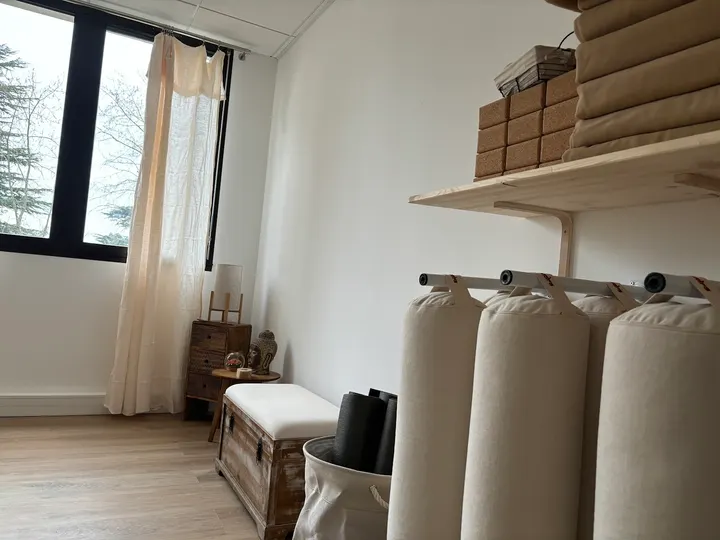 Yoga Lune — Yoga à Tassin-la-Demi-Lune
