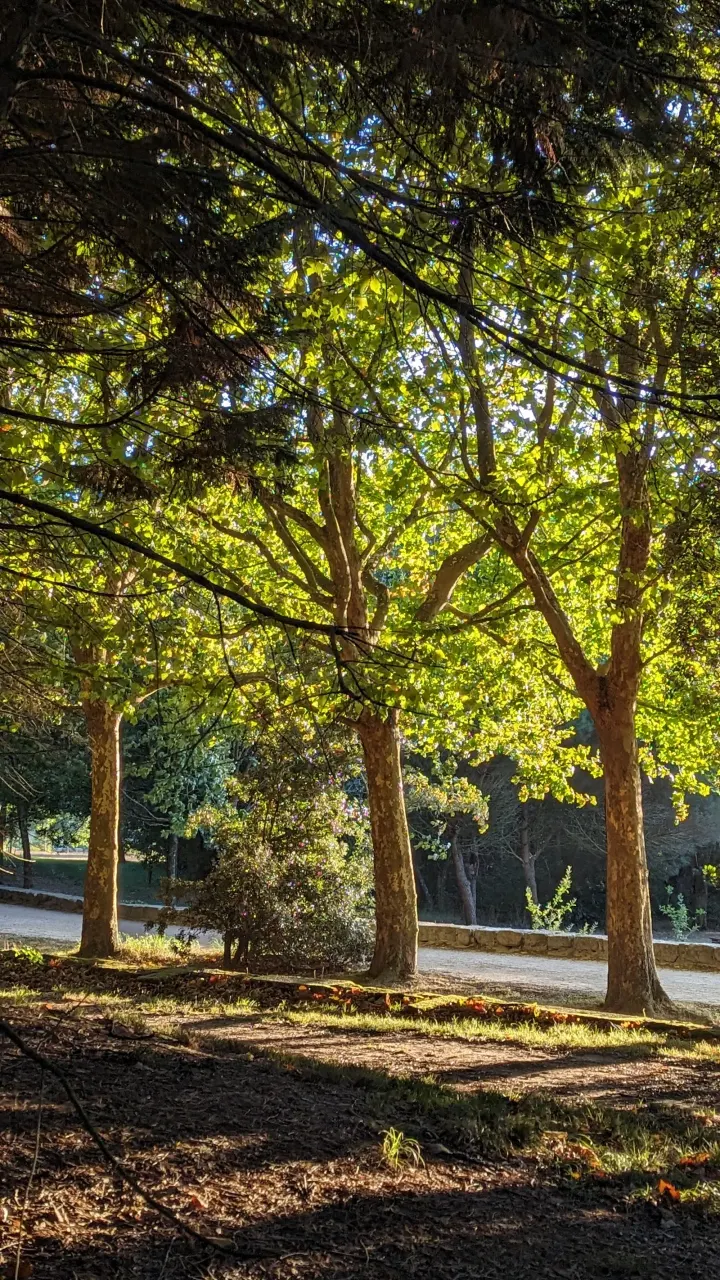 Treino no Parque — Treino funcional em Aldoar, Porto