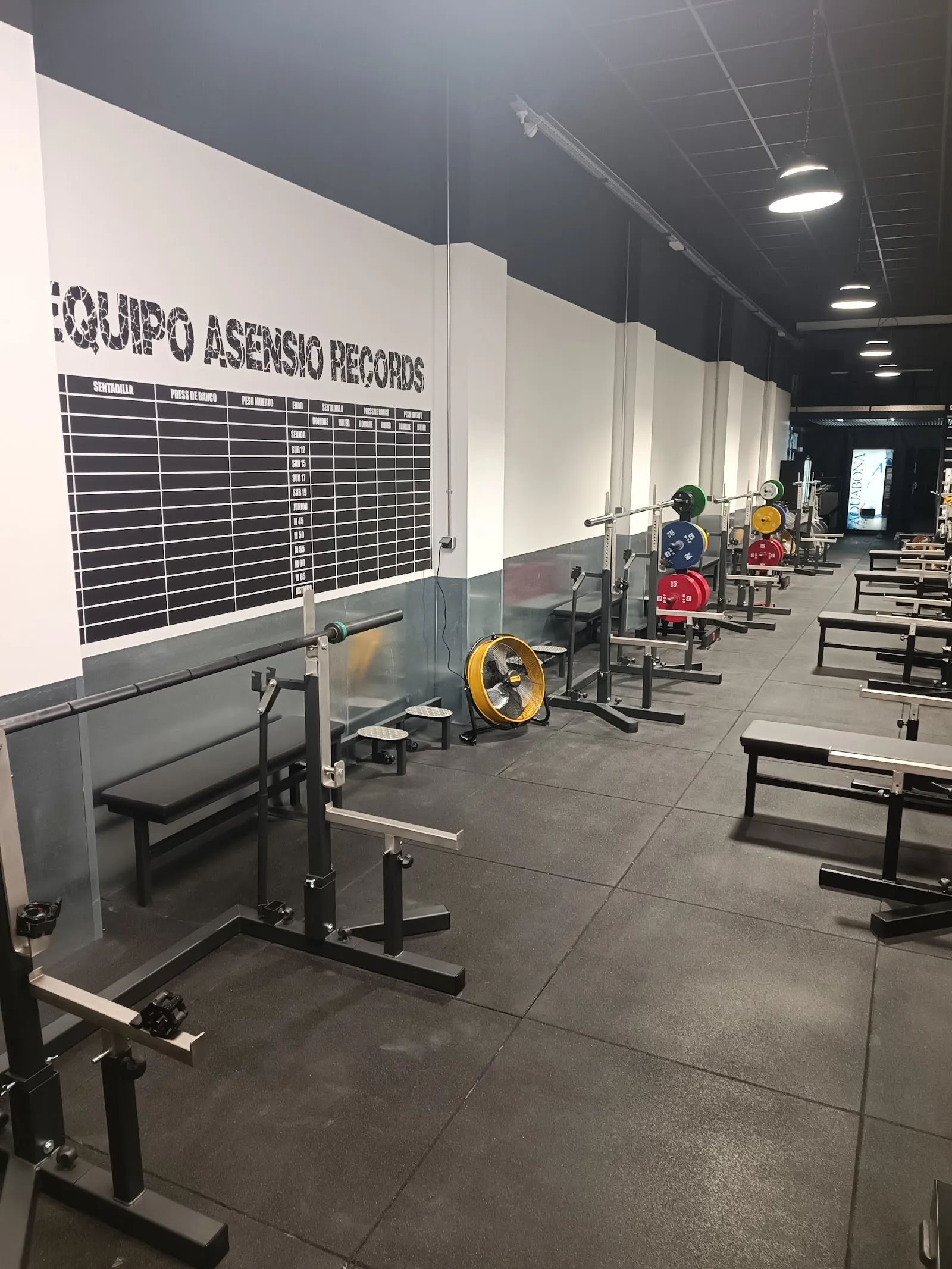 Gimnasio Asensio — fuerza-studio en Caño Argales, Valladolid — 3