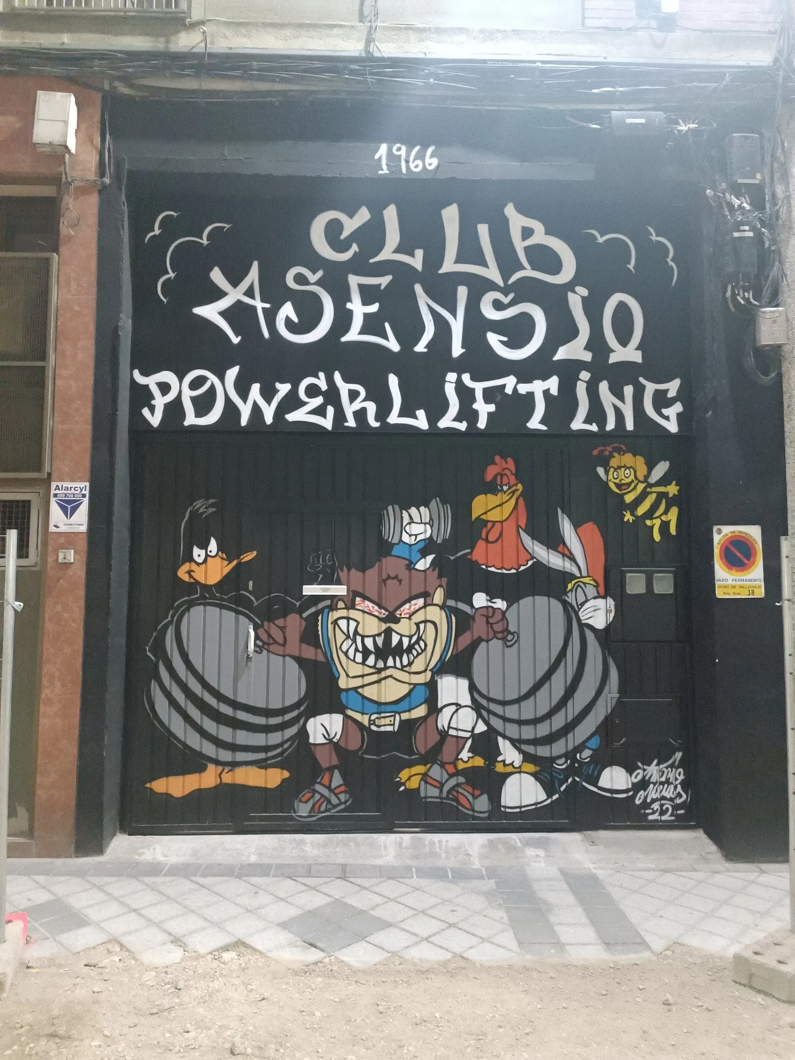 Gimnasio Asensio — fuerza-studio en Valladolid — 5
