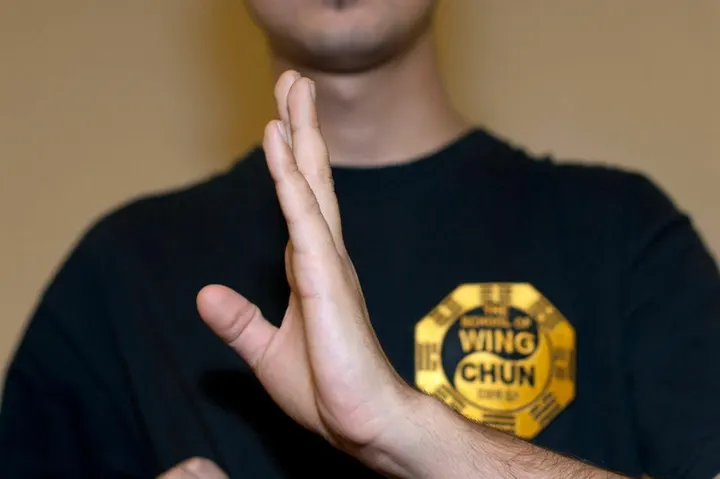 The School Of Wing Chun Kuen - Birmingham - Birmingham — Martial Arts in Sparkhill, Birmingham