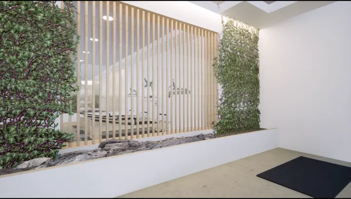 Blive Pilates - Beja — pilates-studio em Beja (Santiago Maior e São João Baptista), Beja — 3