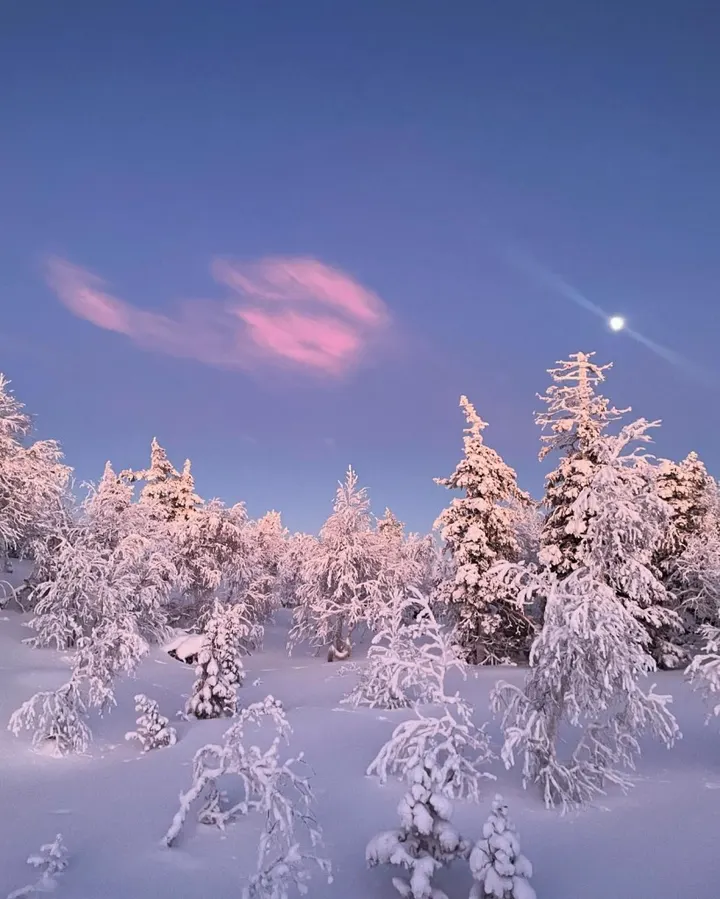 Joogaopettaja Noora Hartejpal — Jooga – Rauhala, Loviisa