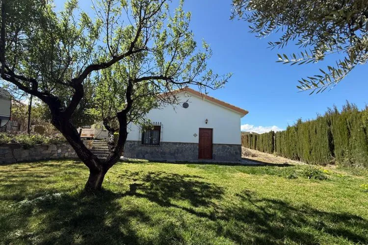 Bootcamp Spain — crossfit-studio — bild 3