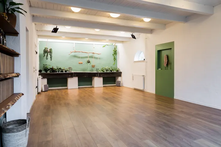 Liv Yoga & Mindfulness — Yoga in Houtkwartier, Leiden