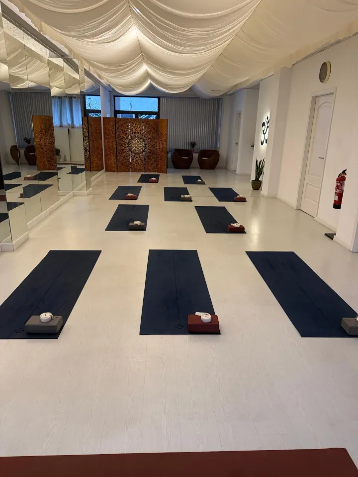Raízes do Yoga — Yoga em Guimarães