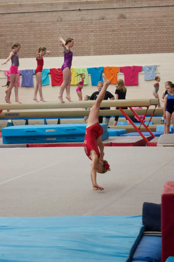 Carlisle Gymnastics Club — gymnastics-studio in Morton, Carlisle — 2