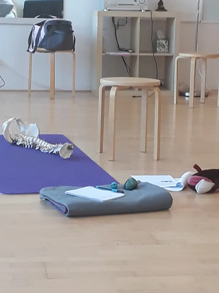 Die Bewegungsschule Cantienica — Yoga in Westpreußenweg Siedlung, Hagen im Bremischen