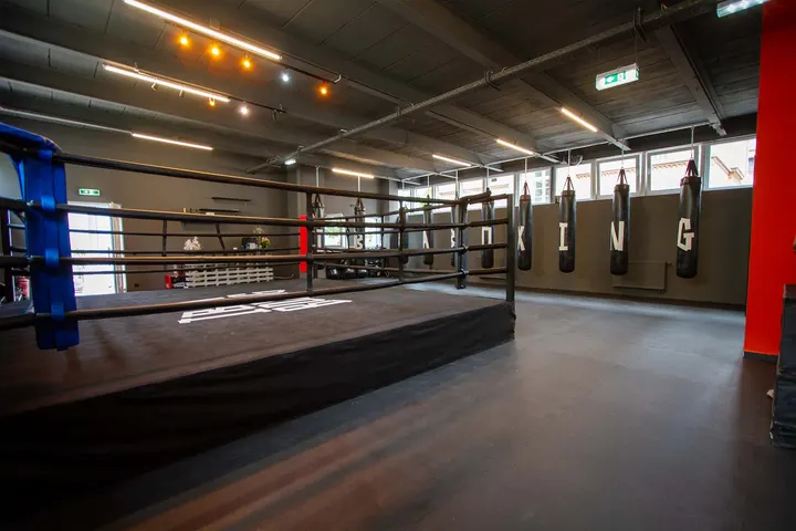 IBRA BOXING — Kampfsport in Bockenheim, Frankfurt am Main