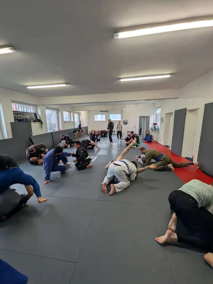 GRAPPLING-DYNAMIK Düsseldorf — bjj-studio in Düsseldorf — 5