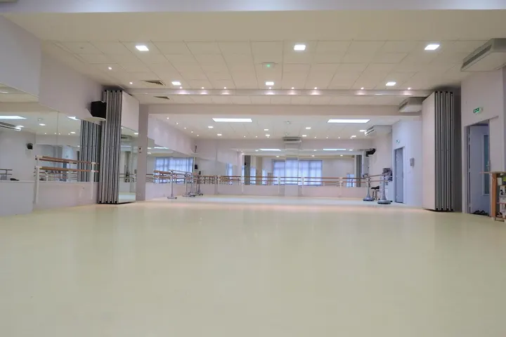 Ecole spécialisée en danse classique — danse-studio aux Émailleurs, Limoges — 2