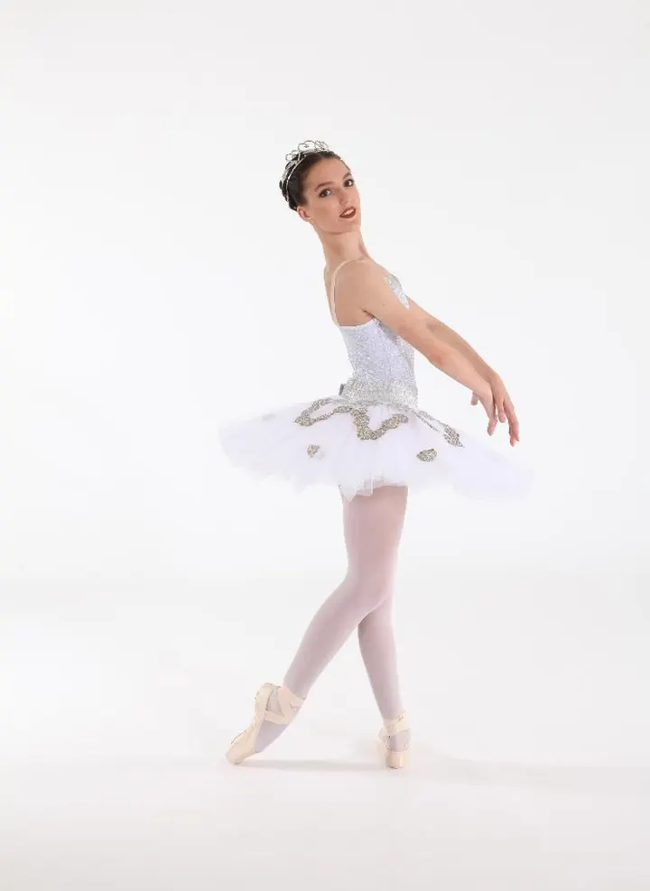 Ecole spécialisée en danse classique — danse-studio aux Émailleurs, Limoges — 3