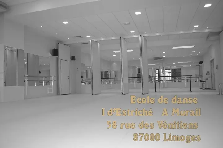 Ecole spécialisée en danse classique — danse-studio à Limoges — 3