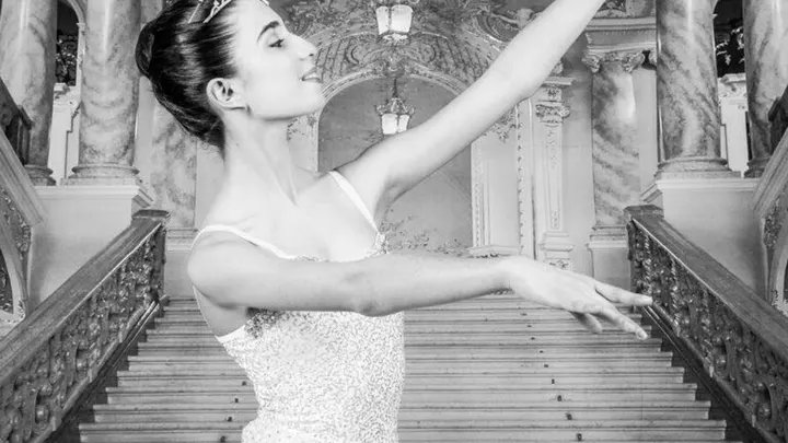 Ecole spécialisée en danse classique — Danse aux Émailleurs, Limoges