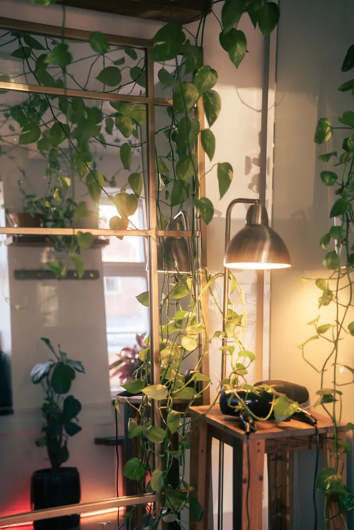 BangBangYoga — yoga-studio i Sundbyøster, København S — 3